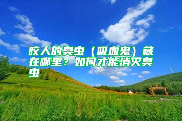 咬人的臭蟲(吸血鬼)藏在哪里?如何才能消滅臭蟲