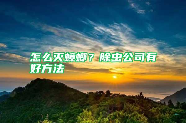 怎么滅蟑螂？除蟲公司有好方法