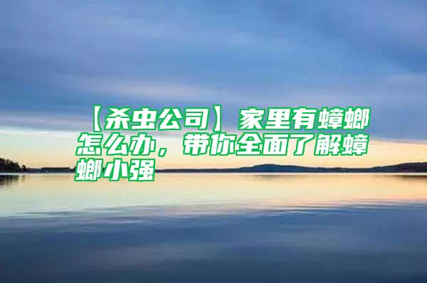 【殺蟲公司】家里有蟑螂怎么辦,帶你全面了解蟑螂小強(qiáng)