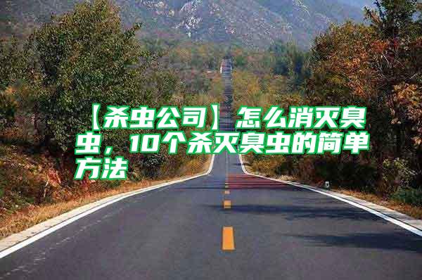 【殺蟲公司】怎么消滅臭蟲，10個殺滅臭蟲的簡單方法