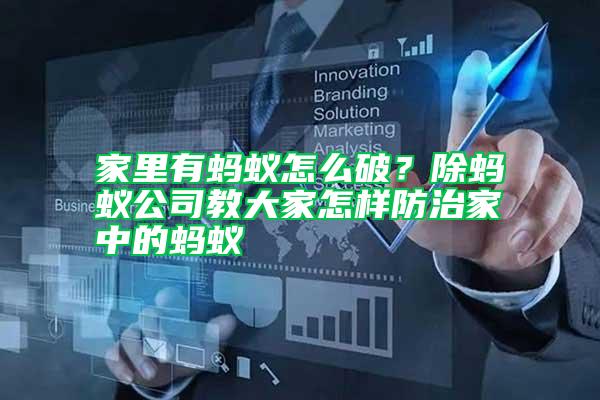 家里有螞蟻怎么破?除螞蟻公司教大家怎樣防治家中的螞蟻