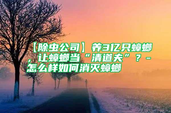 【除蟲公司】養(yǎng)3億只蟑螂，讓蟑螂當(dāng)“清道夫”？-怎么樣如何消滅蟑螂