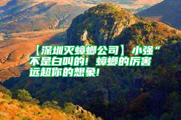 【深圳滅蟑螂公司】小強”不是白叫的! 蟑螂的厲害遠(yuǎn)超你的想象!