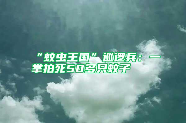 “蚊蟲王國”巡邏兵:一掌拍死50多只蚊子