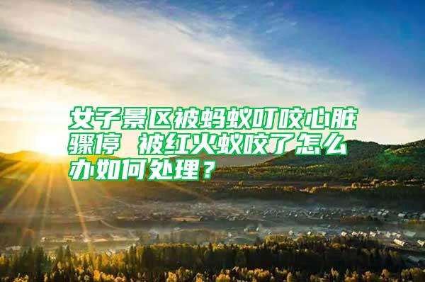 女子景區(qū)被螞蟻叮咬心臟驟停 被紅火蟻咬了怎么辦如何處理?