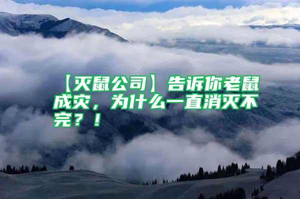 【滅鼠公司】告訴你老鼠成災,為什么一直消滅不完?!