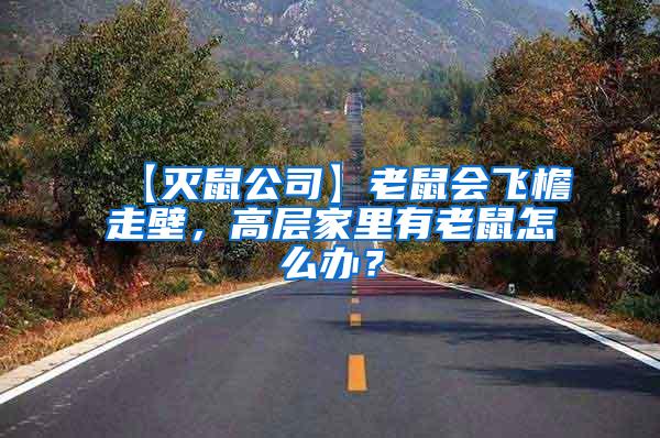 【滅鼠公司】老鼠會飛檐走壁，高層家里有老鼠怎么辦？