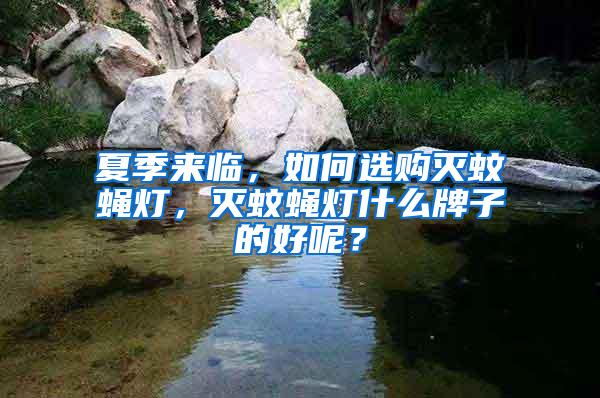 夏季來臨，如何選購滅蚊蠅燈，滅蚊蠅燈什么牌子的好呢？