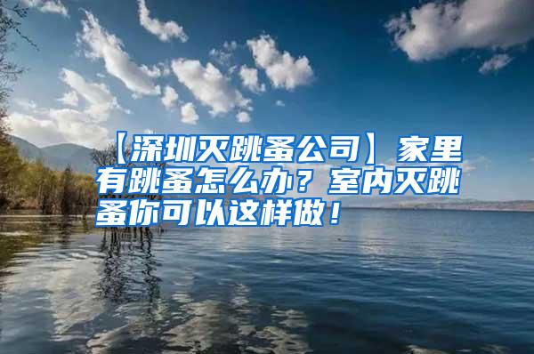 【深圳滅跳蚤公司】家里有跳蚤怎么辦?室內滅跳蚤你可以這樣做!