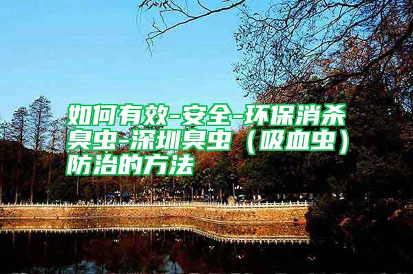如何有效-安全-環(huán)保消殺臭蟲-深圳臭蟲(吸血蟲)防治的方法