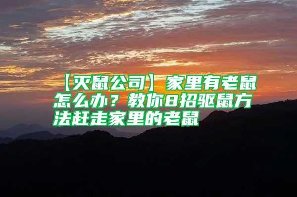 【滅鼠公司】家里有老鼠怎么辦?教你8招驅(qū)鼠方法趕走家里的老鼠