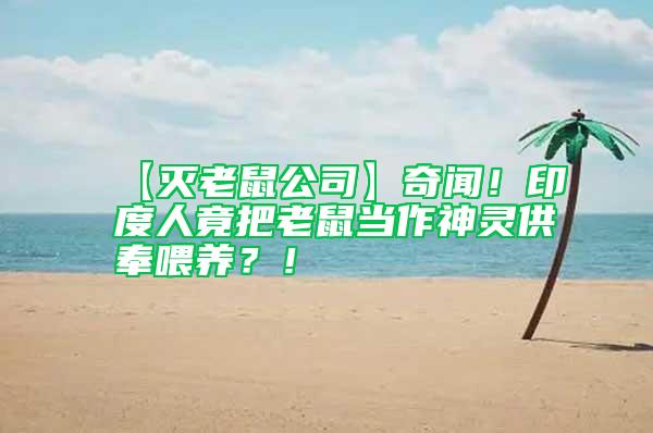 【滅老鼠公司】奇聞！印度人竟把老鼠當(dāng)作神靈供奉喂養(yǎng)？！