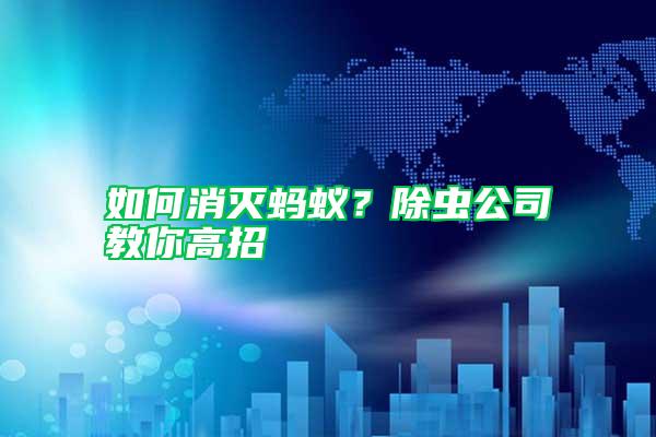 如何消滅螞蟻?除蟲公司教你高招