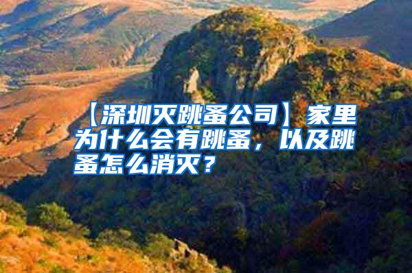 【深圳滅跳蚤公司】家里為什么會有跳蚤，以及跳蚤怎么消滅？
