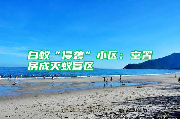 白蟻“侵襲”小區(qū):空置房成滅蟻盲區(qū)