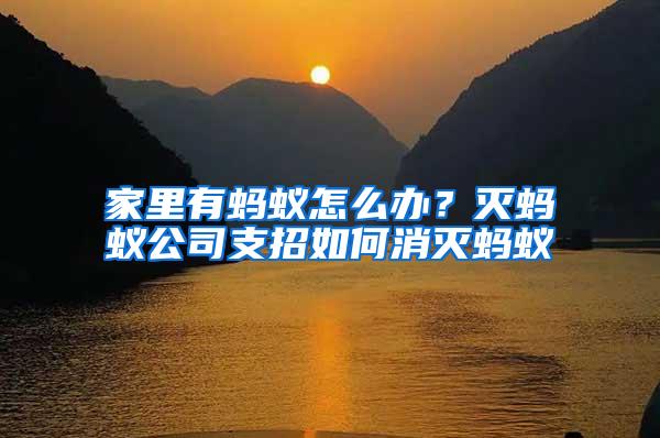 家里有螞蟻怎么辦?滅螞蟻公司支招如何消滅螞蟻