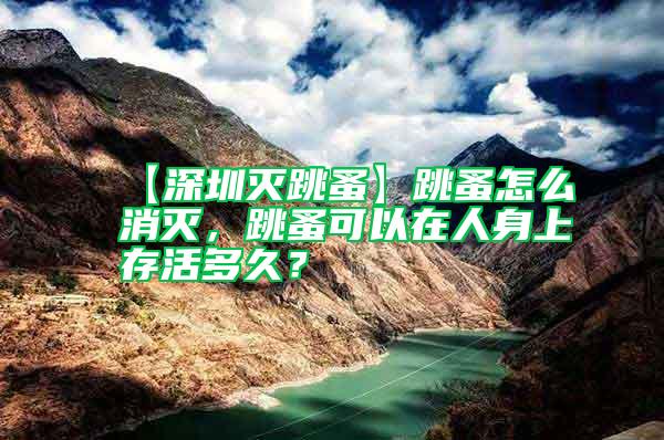 【深圳滅跳蚤】跳蚤怎么消滅,跳蚤可以在人身上存活多久?