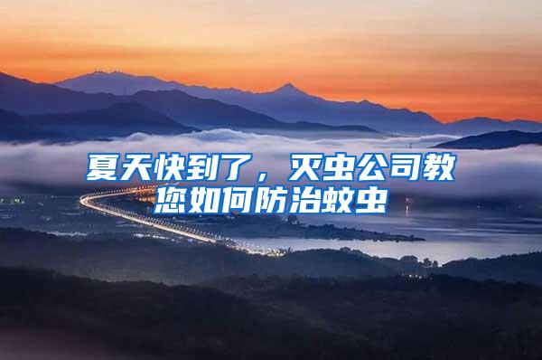 夏天快到了，滅蟲公司教您如何防治蚊蟲