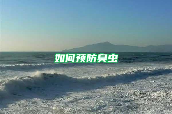 如何預(yù)防臭蟲