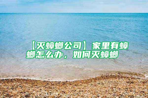 【滅蟑螂公司】家里有蟑螂怎么辦,如何滅蟑螂