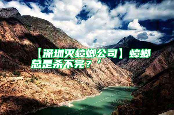 【深圳滅蟑螂公司】蟑螂總是殺不完？’