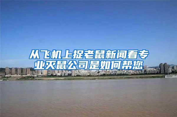 從飛機(jī)上捉老鼠新聞看專業(yè)滅鼠公司是如何幫您