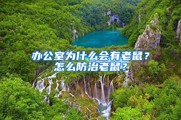 辦公室為什么會有老鼠?怎么防治老鼠?