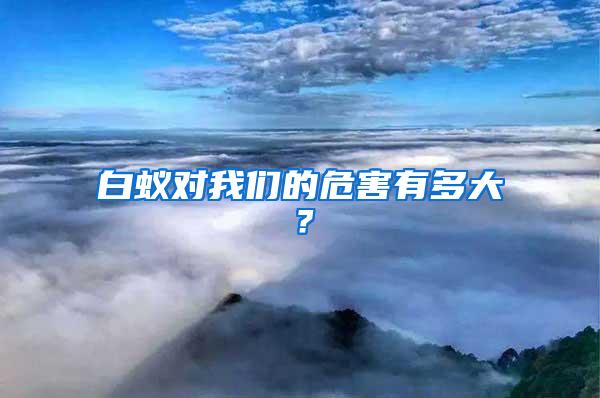 白蟻對(duì)我們的危害有多大？
