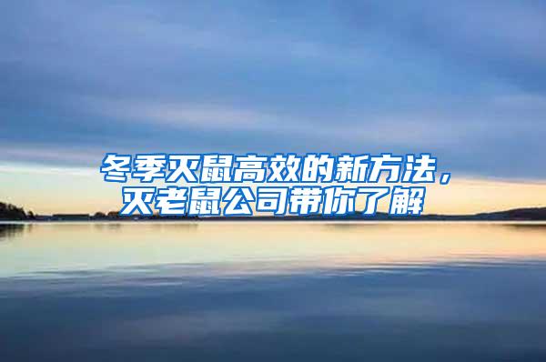 冬季滅鼠高效的新方法,滅老鼠公司帶你了解