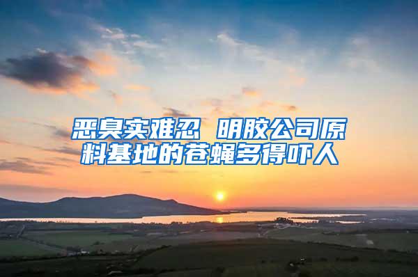 惡臭實(shí)難忍 明膠公司原料基地的蒼蠅多得嚇人