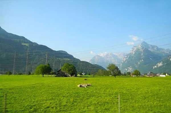 家里有蚊子怎么辦，提醒您防蚊切勿整夜熏蚊香