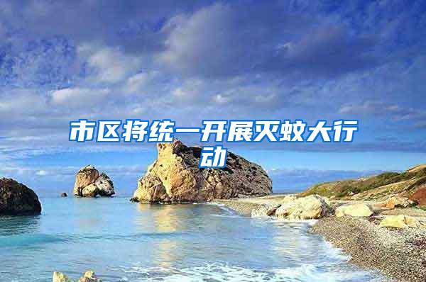 市區(qū)將統(tǒng)一開展滅蚊大行動