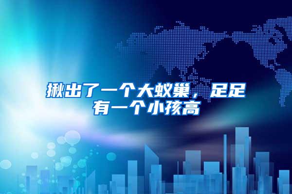 揪出了一個大蟻巢，足足有一個小孩高