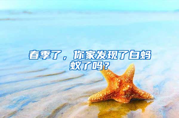 春季了,你家發(fā)現(xiàn)了白螞蟻了嗎?