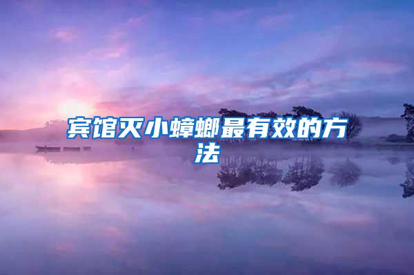 賓館滅小蟑螂最有效的方法