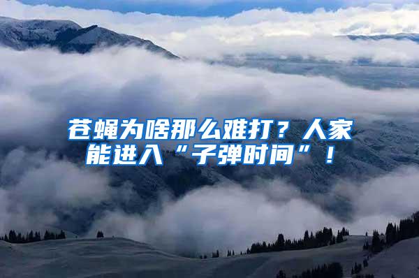 蒼蠅為啥那么難打?人家能進(jìn)入“子彈時(shí)間”!