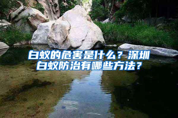 白蟻的危害是什么？深圳白蟻防治有哪些方法？