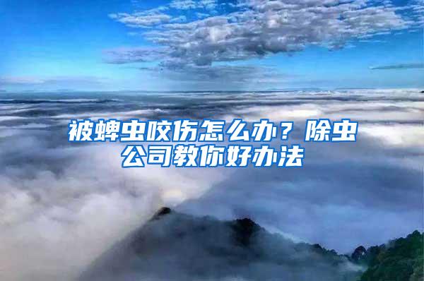 被蜱蟲咬傷怎么辦？除蟲公司教你好辦法