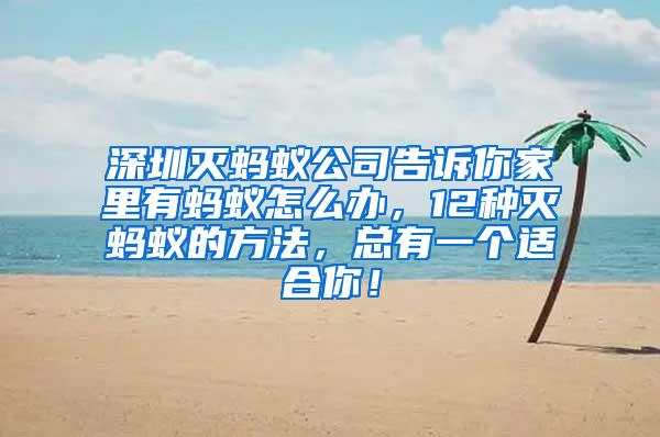 深圳滅螞蟻公司告訴你家里有螞蟻怎么辦，12種滅螞蟻的方法，總有一個適合你！