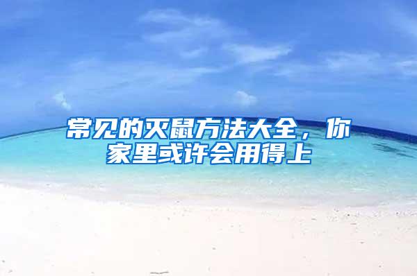 常見的滅鼠方法大全,你家里或許會用得上