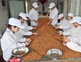 四害消殺：食品、加工行業