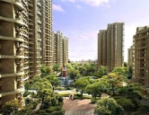 四害消殺：家庭、公寓物業小區