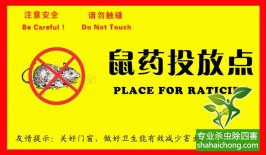 老鼠入室如何消滅？滅鼠公司專業分析